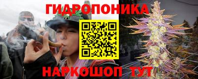 герыч Лесосибирск