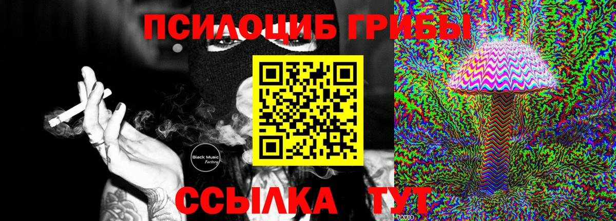 Галлюциногенные грибы GOLDEN TEACHER Всеволожск