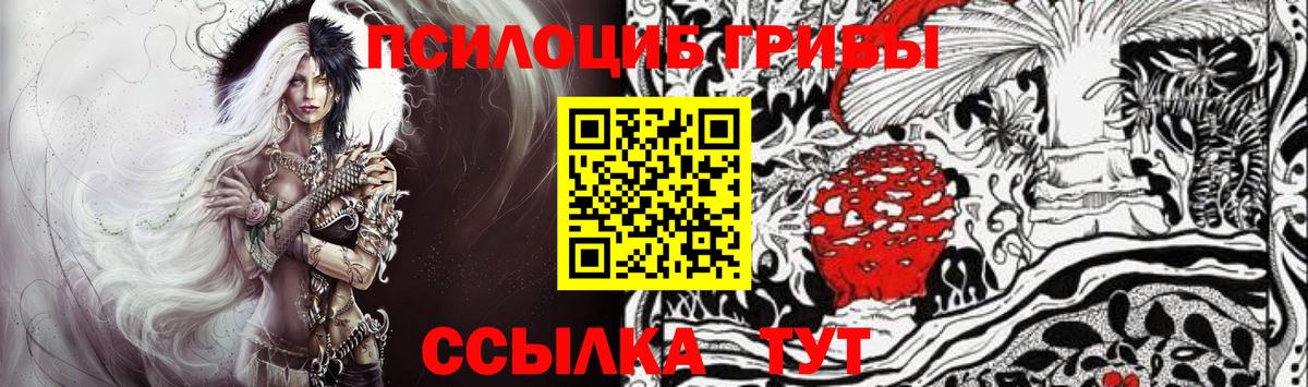 Всеволожск  Псилоцибиновые грибы GOLDEN TEACHER  как найти закладки  Вход с VPN 